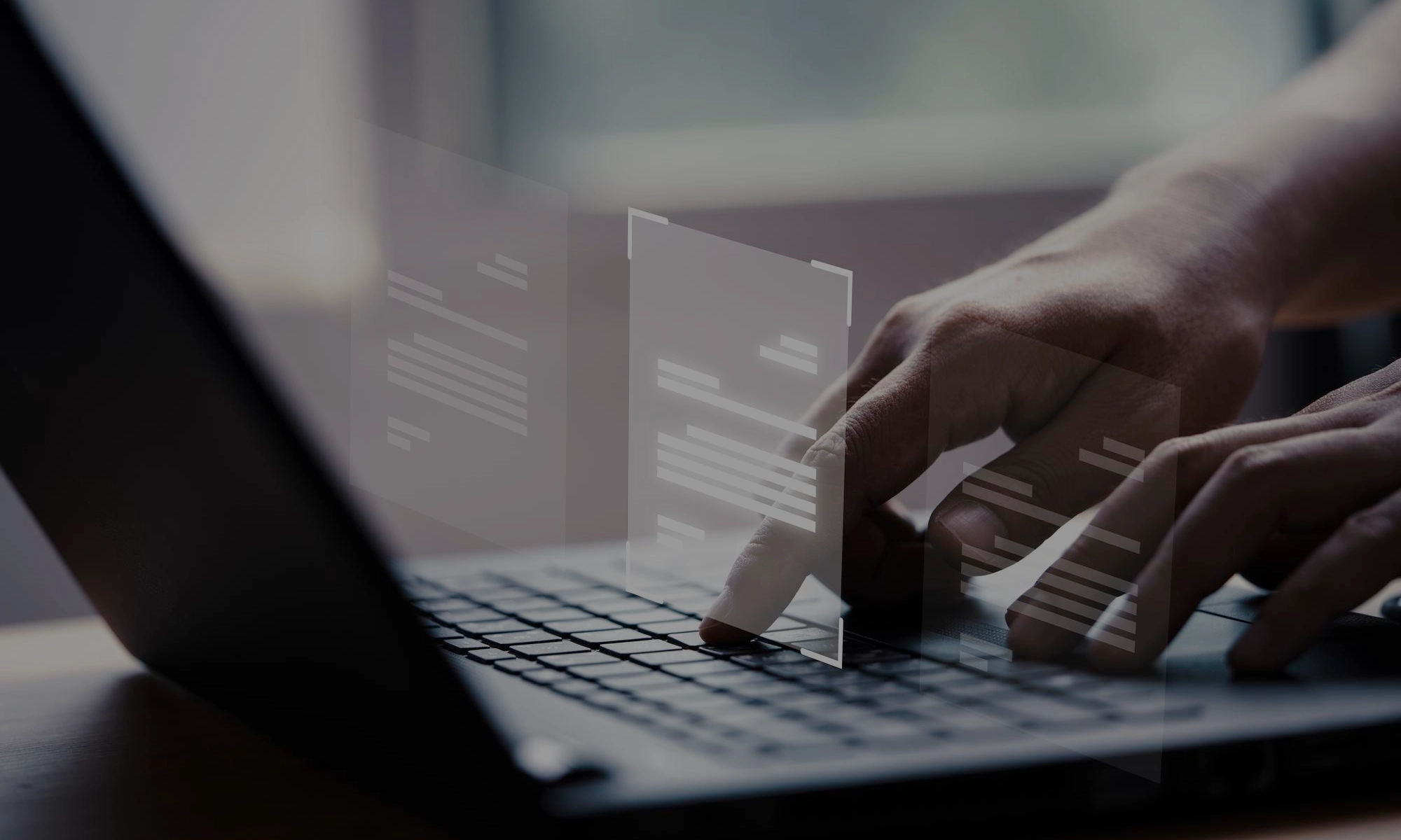 Aerial forest showing national carbon registry infrastructure